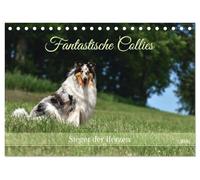 Fantastische Collies - Sieger der Herzen (Tischkalender 2026 DIN A5 quer), CALVENDO Monatskalender: Bezaubernde Collies, charmant, intelligent und verspielt.