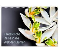 Fantastische Reise in die Welt der Blumen (Wandkalender 2027 DIN A3 quer), CALVE