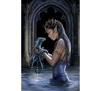 Fantasy Biglietto D'Auguri Dragon - Water Anne Stokes Cartolina Lettera Regalo
