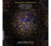 fantasy for violin & piano