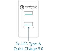 FANTEC QC3-A22 - Alimentatore - 36 watt - Quick Charge 3.0 - 2 porte di uscita (USB Tipo A (solo alimentazione)) (1951)