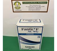 Fantic F WG Sistemico e di copertura contro peronospora della Vite Conf.da Kg1.