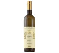 Fantinel Tenuta Sant'Helena Sauvignon Judri Collio DOC 2025 0,75 ℓ