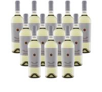 Fantini Farnese IGT Chardonnay IGT Terre di Chieti Fantini Classica 12 X 75 cl.