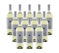 Fantini Farnese Trebbiano D'Abruzzo DOC Fantini Classica 12 bottiglie 75 cl.