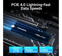 Fanxiang 1TB 2TB 4TB PCIe 4.0 NVMe SSD M.2 Unità interna a stato solido 7300MB/s