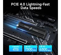 Fanxiang 1TB 2TB 4TB PCIe 4.0 NVMe SSD M.2 Unità interna a stato solido 7300MB/s