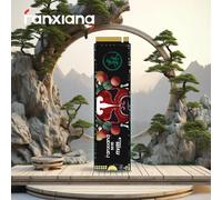 Fanxiang M.2 SSD Disco rigido 1TB 2TB 4TB 7400MB/s NVMe M2 SSD PCIe3.0/4.0 Unità a stato solido interna Consegna locale S500 Pro/S790