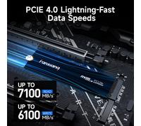 Fanxiang M.2 SSD Hard Disk 2TB 1TB 500GB PCIe 4.0 NVMe PS5 Gaming Disco rigido
