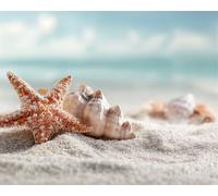 FanZheZhe punto croce prestampato facile Stella marina sulla spiaggia 11ct40x50cm Kit ricamo con stampa per decorazioni per la casa per principianti e adulti