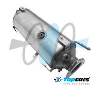 FAP DPF Iveco Daily, 2.3 , 3.0 diesel, OE: 504131264, 504290373
