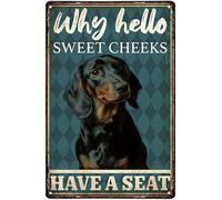 FAQOIR Divertente targa in metallo con bassotto perché Hello Sweet Cheeks Have A Seat decorazione per il bagno retrò targa in metallo vintage per casa caffè decorazione da parete 20,3 x 30,5 cm
