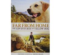Far From Home – The Adventures of Yellow Dog – Jesse Bradford – DVD – Edizione Stati Uniti