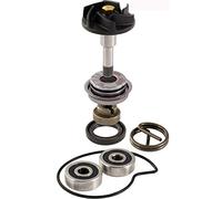 FAR Kit di Riparazione della Pompa dell'Acqua Compatibile con Piaggio Beverly 300 RMS
