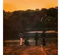 Far Out Fangtooth - Pure Disinterested