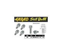 Farad Stil Bull Bulloni antifurto ZA per Cupra Born