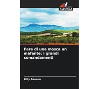 Fare di una mosca un elefante: i grandi comandamenti