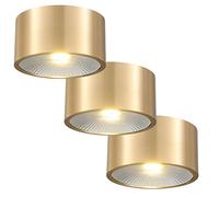Faretti a LED da incasso a montaggio superficiale da 3 pezzi Faretti cilindrici da 5 W/7 W/12 W Tutto in rame Retrofit per luce diurna Installazione semplice da retrofit - Senza sfarfallio (12 W 3000