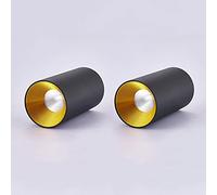 Faretti da soffitto a LED da 2 Pezzi, faretti da soffitto direzionali Moderni, faretti da soffitto in Alluminio da 12 W per corridoio, Galleria, Cucina, Soggiorno