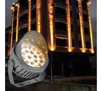 Faretti, faretto a LED da 110-240 V, fascio di luce for esterni, fascio di luce a lungo raggio, luce di proiezione for esterni, luce stretta, luce da parete, palo luminoso(Green,60W(ac100240V))