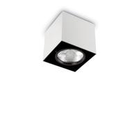 FARETTO A PLAFONIERA MODERNA ORIENTABILE 1 LUCE DL0714