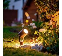 LEDKIA LIGHTING Faretto da Esterno LED 3W con Picchetto Fern EasyFit 12V Nero