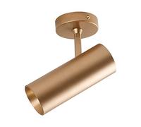 Faretto da incasso moderno e minimalista Faretto a led singolo Faretto a binario Negozio di abbigliamento Showroom Parete del soggiorno nordico Negozio commerciale Soffitto Faretto dorato Faretto da
