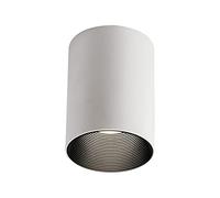 Faretto da soffitto a LED, faretto a montaggio superficiale, luci for quadri 10 W e mini faretti d'accento, lampade direzionali for corridoio camera letto soggiorno(Svart+blanc-3500k)