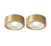 Faretto da soffitto a LED in Ottone con Montaggio Superficiale, faretti per Interni, faretti direzionali COB da 2 Pezzi per Uso Commerciale, Galleria Fotografica Domestica