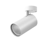 Faretto da soffitto a LED, regolabile, direzionale, per interni, per soggiorno, camera da letto, piante, corridoio, galleria, luce artistica (bianco, 10W-S, bianco caldo, 3000 K)