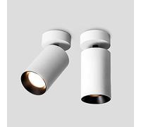 Faretto da soffitto Regolabile a LED per Illuminazione da Superficie per Interni, Confezione da 2 faretti da soffitto monopunto in Alluminio, luci per Quadri da Galleria e Mini faretti d'accento/