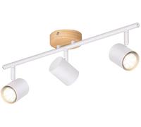 FARETTO DA SOFFITTO ZMH SD65001117