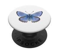 Farfalla blu comune PopSockets PopGrip Adesivo