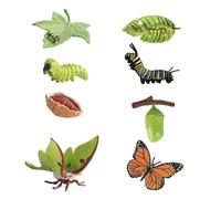 Farfalla Ciclo di Vita Set Modello Monarca e Falda Lunare | Personaggi per lo sviluppo, 8 pezzi, insetti, metamorfosi, insegnamento scolastico, biologia, materiale visivo