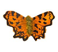 Farfalla Comma Wildlife Garden