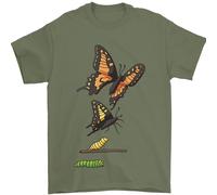 Farfalla Evolution Caterpillar Farfalle Uomo T-Shirt 100% Cotone