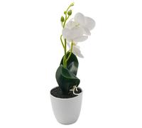 Farfalla Orchidea Fiore Artificiale Moderno Decorazione Casa Piante Finte Matrim