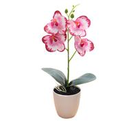 Farfalla Orchidea Fiore Artificiale Moderno Decorazione Casa Piante Finte Matrim