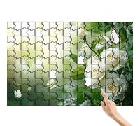Farfalla Puzzle 1000 Pezzi, Rosa Puzzle Adulti, Giochi Educativi per la Famiglia, Divertimento Colorato Set con Scatola, Giochi Creativi per Regalo Uomo Decorazioni Casa, Regalo Bambina 6 Anni W-0