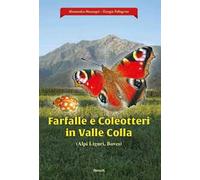 Farfalle e coleotteri in valle colla (Alpi Liguri, Boves)