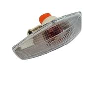 Fari Coperchio Antipolvere Adatto per Hyundai Terracan 2.4 2.5 2.9 3.5 Lampada targa Lampada parafango Lampada indicatore di direzione Lampada laterale Lampada piccola Vetro Del Faro Copertura