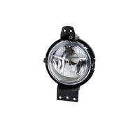 Fari Fendinebbia Adatto A per BMW Mini Countryman 06/10- 1x H8 SX Fah. O R