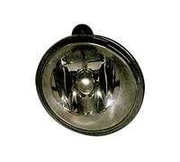 Fari Fendinebbia Adatto A per Renault Megane I 03/99-08/03 H1 Dx Beifahrers