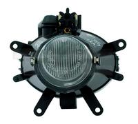 TYC 19-5683-01-9 Fendinebbia per BMW
