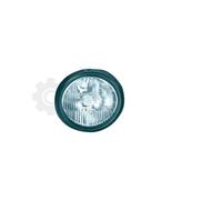 Fari Nebbiosi Nsw Anteriore Destro H11 Per Renault Clio III BR0/1 CR0/1