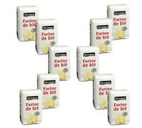 Farina di grano tenero ROCHAMBEAU T45 - Lotto 10 x 1 kg | Farina fine per pasticceria e ricette salate
