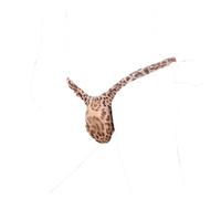 Faringoto Perizoma per uomo di leopardi slip da uomo leopardato rigonfiamento sacchetto T-Back G-String costumi da bagno biancheria intima vita bassa traspirante, Marrone, Large