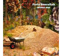 Faris Nourallah Minus One (Vinyl LP) 12" Album