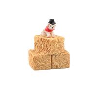 Farm Animals Cod. 14847