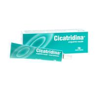 Farma Derma Cicatridina Unguento Nasale, 15g